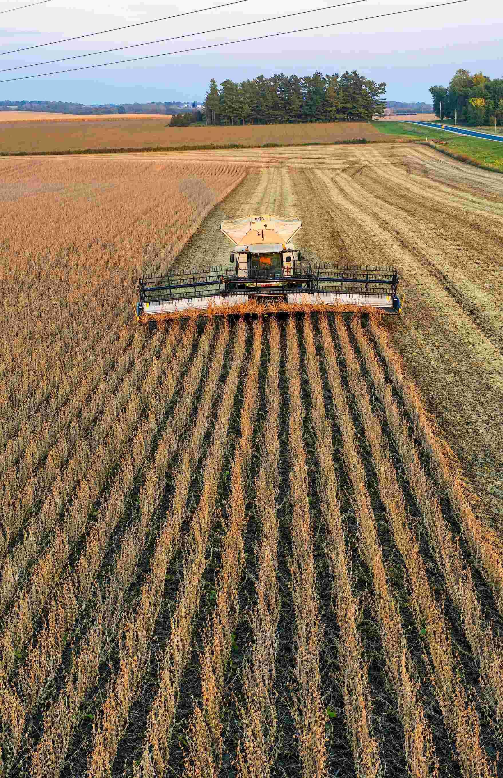 Maquinaria agraria labrando en el campo